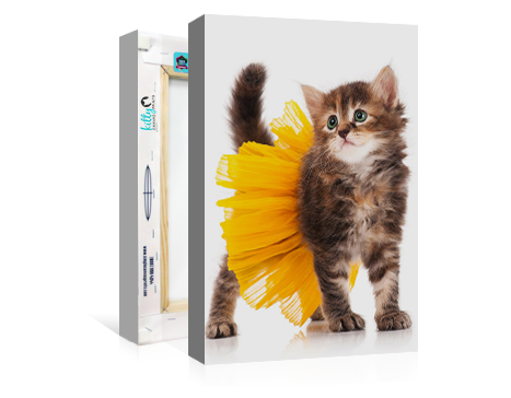 Kitty Canvas Prints